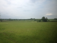 Fields In England
