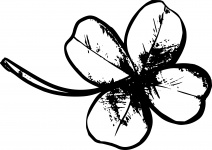 Four Leaf Clover Drawing