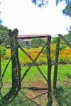 Garden Gate Cutout