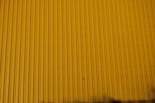 Yellow Corrugated Iron