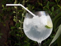 Lime Cocktail In The Garden