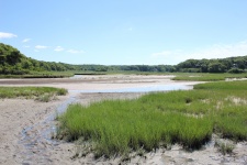 Little Sippewissett Marsh 1