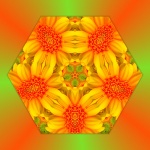 Mandala Floral (2)
