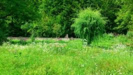 Meadow With Concrete Wall