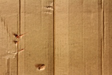 Paper Box Cardboard Texture