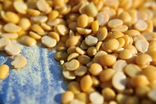 Pulses Particles 1