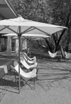 Recliners Under Parasols In B & W