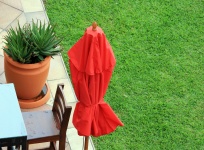 Red Parasol And Lawn