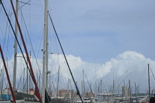 Sea Of Yacht Masts Against Sky