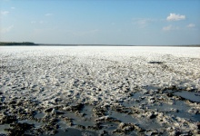 Sea Salt. Reserve. Resort.