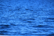 Sea Surface Background