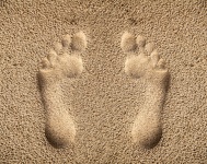 Single Footprint In Sand