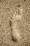 Single Footprint In Sand