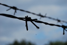 Barbed Wire In The Rain