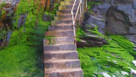 Steps Over Seaweed