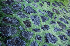 Stones And Grass 02