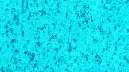 Turquoise Marble Background