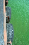 Tyres Of Jetty Over Water