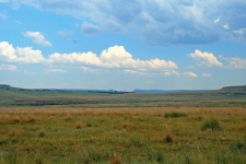 Veld Landscape With Cloud