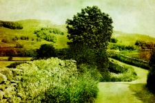 Vintage Country Lane Landscape