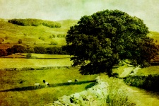 Vintage Landscape Countryside