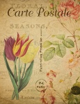 Vintage Postcard Flowers