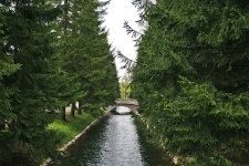 Water Canal With Trees