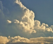White Cumulus Cloud