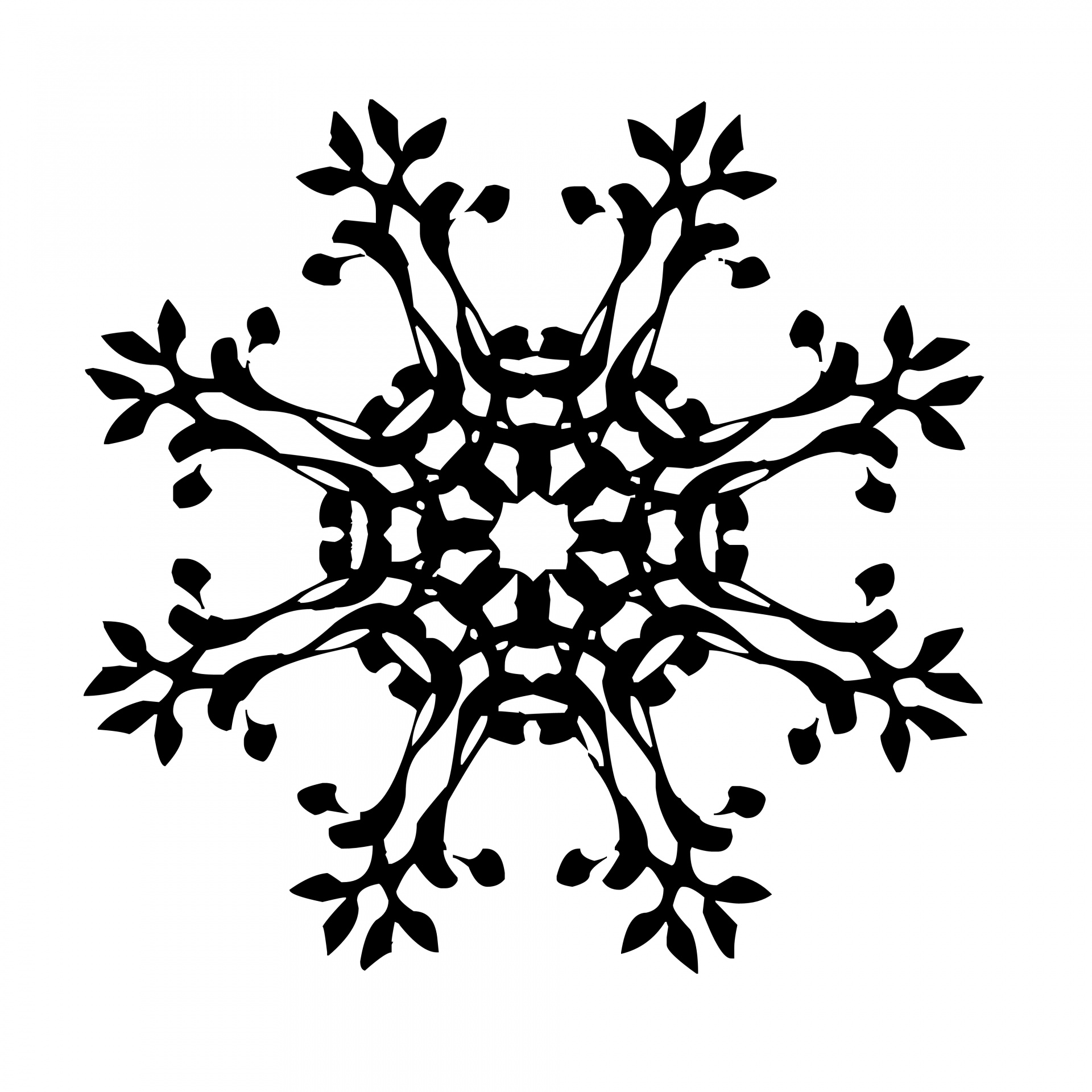 black snowflake icon graphic on white background