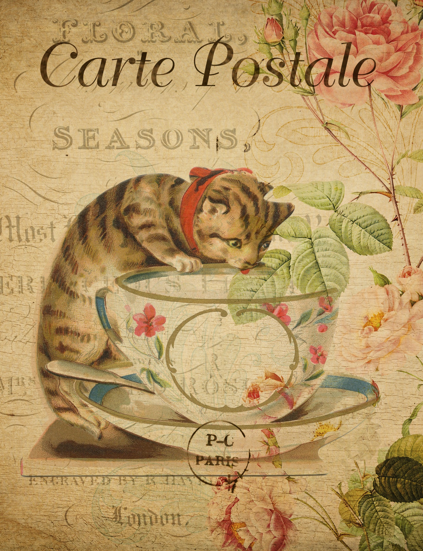 Cat Vintage French Postcard
