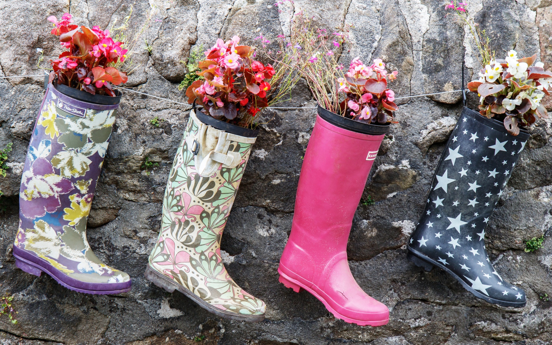 Colorful rain boots, galoshes, wellies hanging on wall with flowers in the top