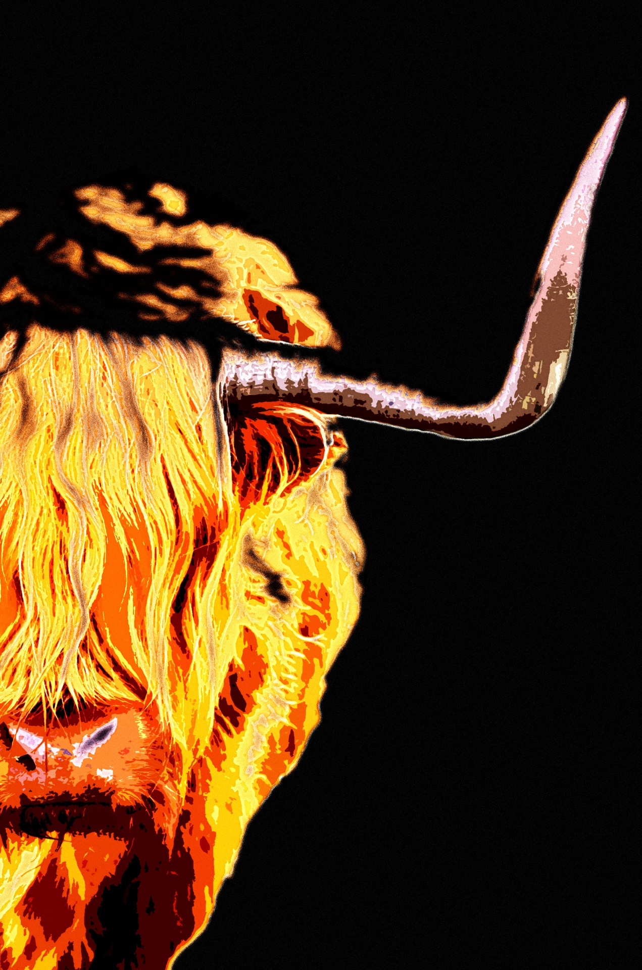 Painting Of A Highland Cow