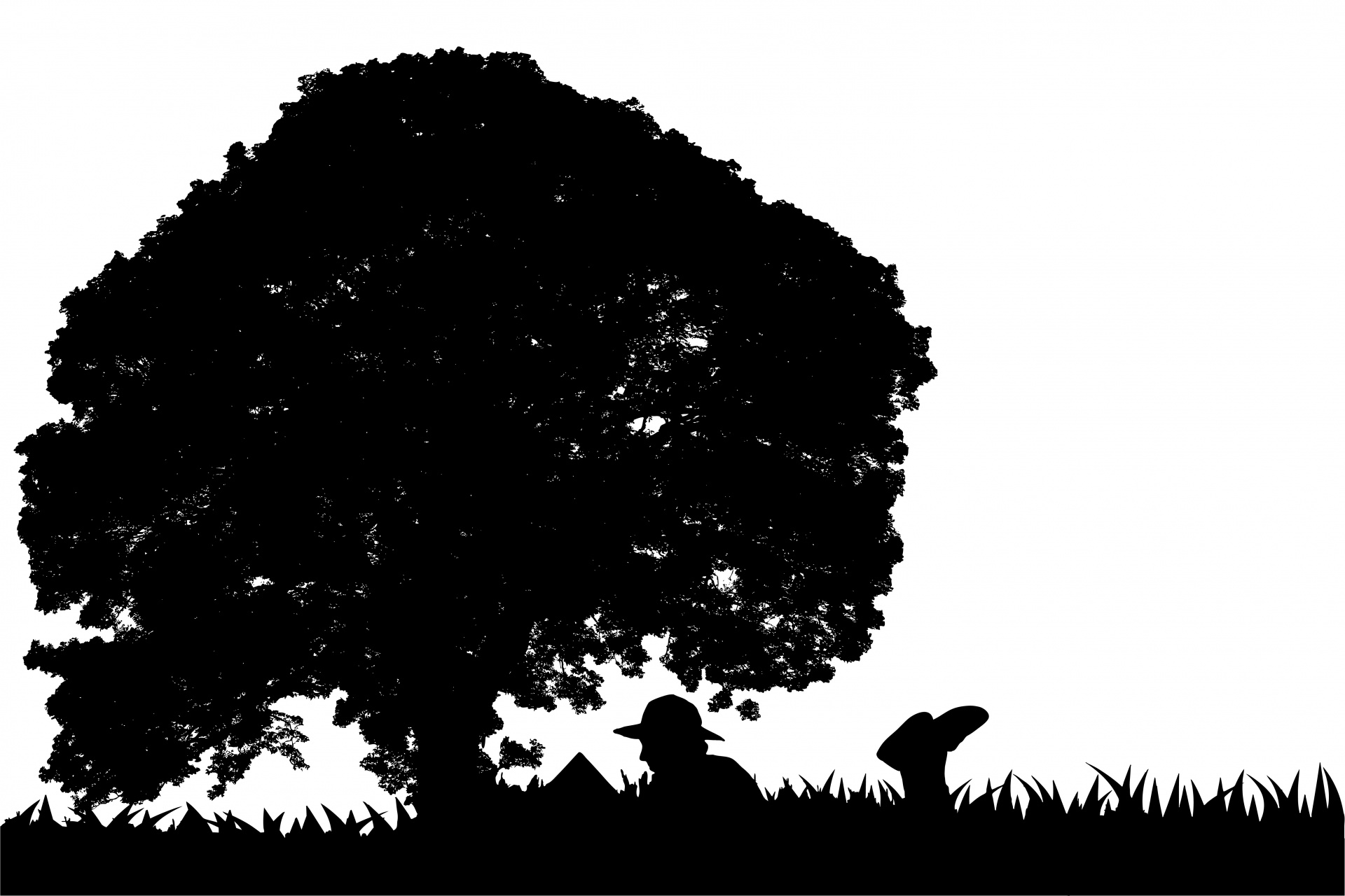 Woman laying in the long grass leading book under a tree silhouette