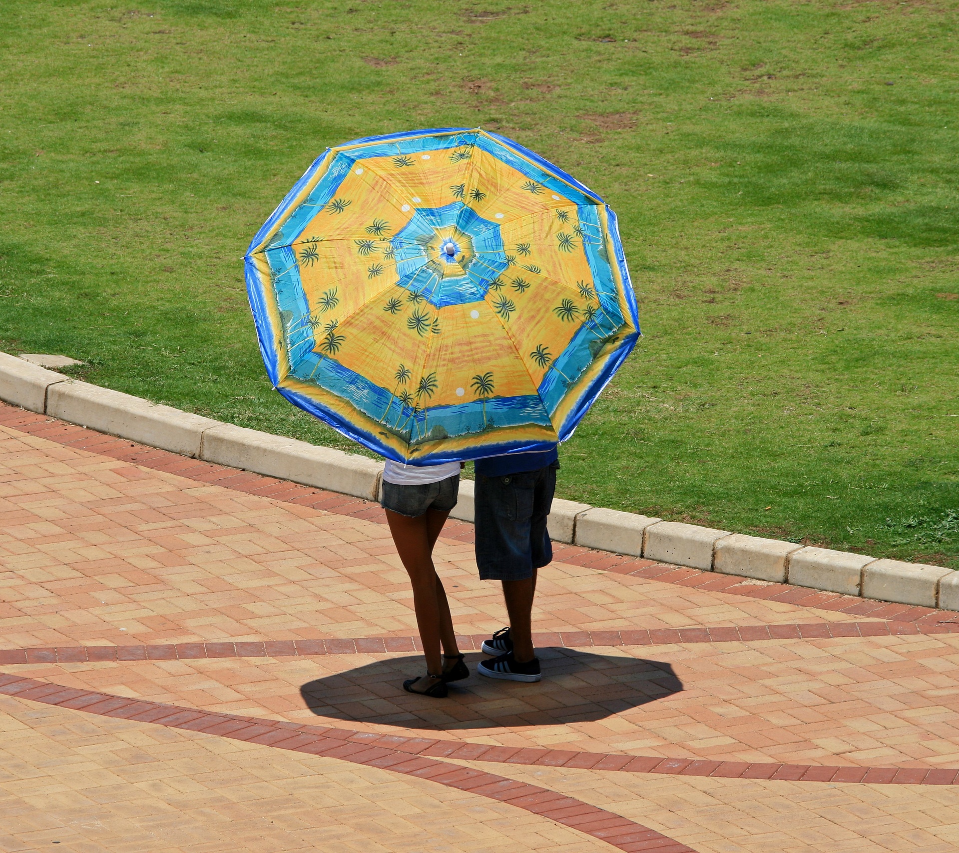 Enligt en gul & blå parasoll Gratis Stock Bild - Public Domain Pictures