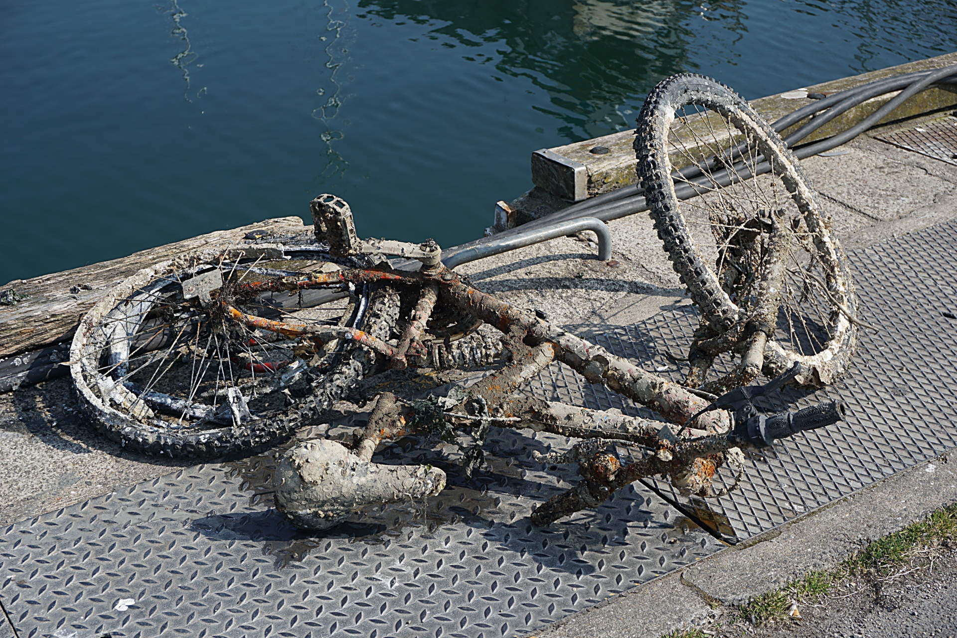 Fished Bicycle