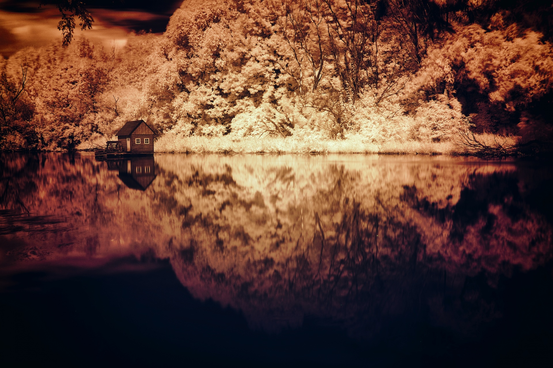 Water Mill Infrared