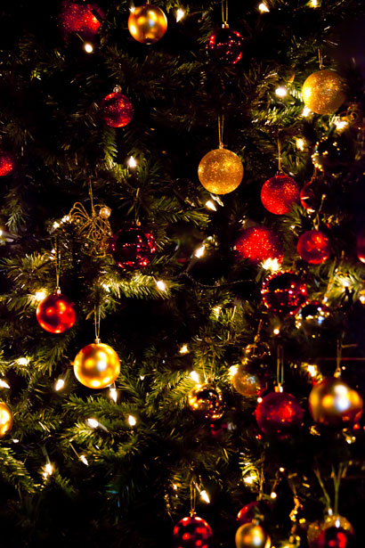 Christmas Tree Wallpaper Free Stock Photo - Public Domain Pictures