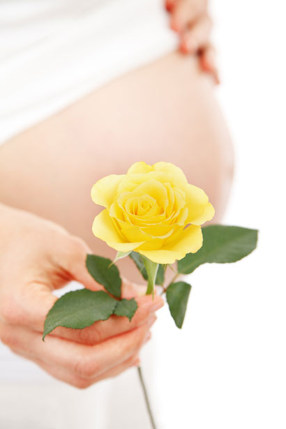 Vientre de flores y embarazadas Stock de Foto gratis - Public Domain  Pictures