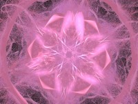 A Pink Fractal
