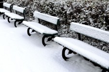 Bench And Snow