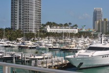 Boat - Miami Harbor 3