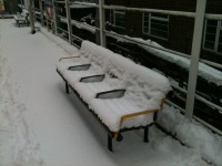 Faces On A Snow-Covered Bench