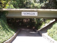 Gorilla Sign