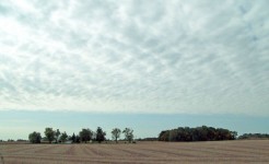 Indiana Field And Clouds