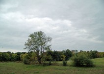 Indiana Landscape