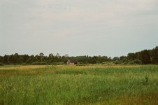 Meadow Sosnowica Poland