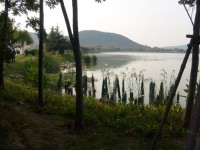 Lake And Marshland