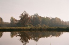 Forests Janowskie, Maliniec