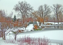 Monet Bridge In Snow-covered Park