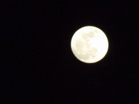 Moon Sky 5